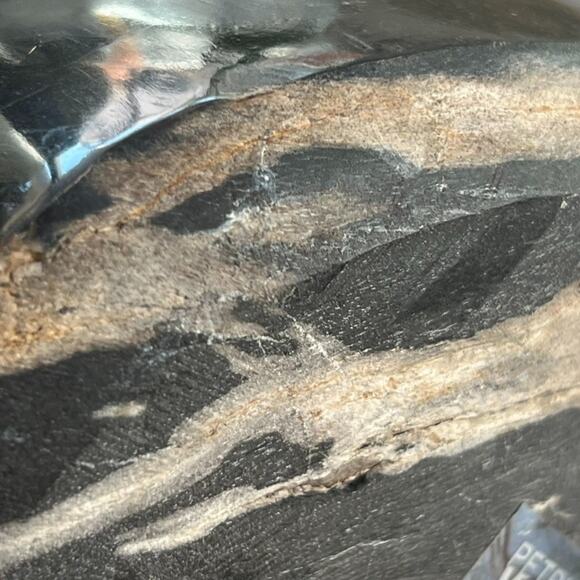 Petrified Wood Bowl/Ashtray From Indonesia Tertiary Period Over A Million Years - Picture 7 of 16